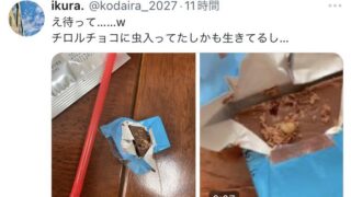 撮り鉄のSNS投稿が引き起こしたチロルチョコ騒動：家族を巻き込むリスクと教訓