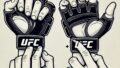 UFC 309で旧型グローブ再使用の背景：新型グローブの課題とアイポーク問題